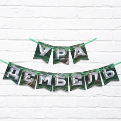 Гирлянда на ленте "Дембель", дл. 250 см. No Brand