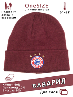 Шапка детская Шапка, бордовый, onesize No Brand