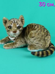 Мягкая игрушка Мэри Море Реалистичная кот, 30 см