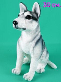 Мягкая игрушка Мэри море реалистичная собачка хаски 30см серый, белый