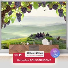 Фотообои флизелиновые ПЕРВОЕ АТЕЛЬЕ "Виноград в распахнутом окне" 400х270 (ШхВ)