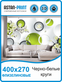 Фотообои флизелиновые Astan 3D Черно-белые круги 400х270