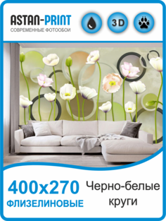 Фотообои флизелиновые Astan 3D Черно-белые круги 400х270