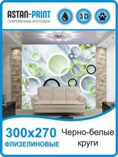 Фотообои флизелиновые Astan 3D Круги 300х270