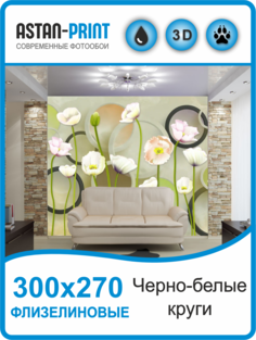 Фотообои флизелиновые Astan 3D Круги 300х270