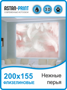 Фотообои флизелиновые Astan Нежные перья 200х155