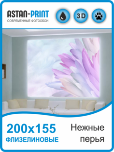 Фотообои флизелиновые Astan Нежные перья 200х155