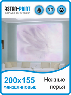 Фотообои флизелиновые Astan Нежные перья 200х155