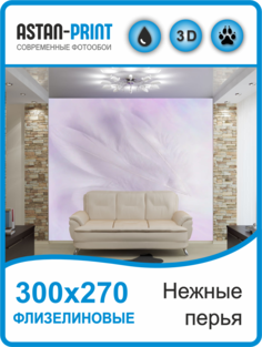 Фотообои флизелиновые Astan Нежные перья 300х270