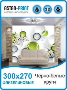 Фотообои флизелиновые Astan 3D Круги 300х270