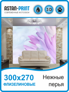 Фотообои флизелиновые Astan Нежные перья 300х270