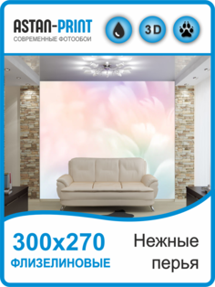 Фотообои флизелиновые Astan Нежные перья 300х270