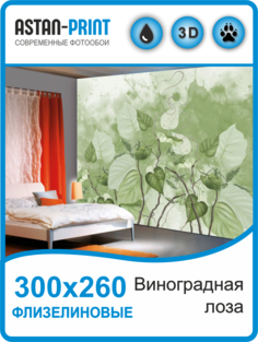Флизелиновые фотообои Astan Виноградная лоза 300х260