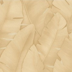 Обои 9148-01 Euro Decor Tropicana Eurodecor