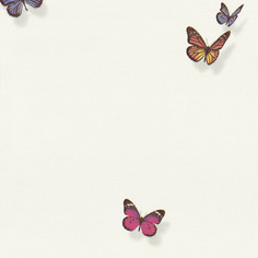 Обои Andrea Rossi Spectrum max 54363-1