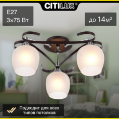 Люстра потолочная Citilux Сюзи CL171134