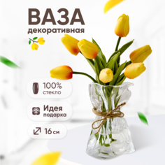Декоративная ваза Solmax для цветов и сухоцветов 10х16см стекло прозрачный