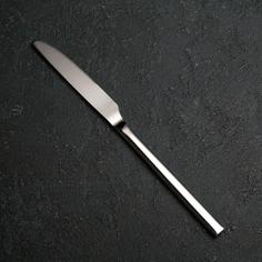 Нож столовый Тайфун, 22,5 см No Brand