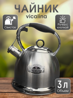 Чайник Vicalina серебристый с черной ручкой 3л