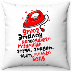 Подушка декоративная Море Маек Белая 40х40, утюг эталон настоящего мужчины