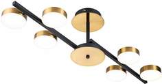 Люстра потолочная Escada на штанге Alcor 10266/6 LEDx95W Black/Brass