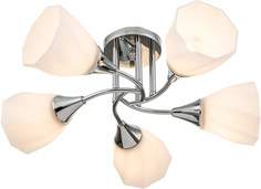 Люстра потолочная Escada на штанге Camellia 664/5P E27x40W Chrome
