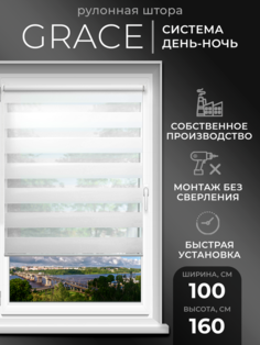 Рулонные шторы День Ночь 100 на 160 жалюзи на окна LM DЕСОr