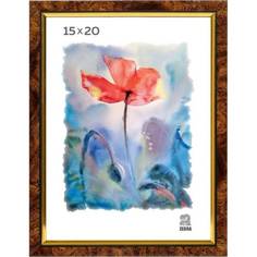 Пластиковая фоторамка Зебра PS_201_15x20 X7484651