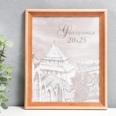 Фоторамка сосна с20 20х25 см (пластиковый экран) Зебра