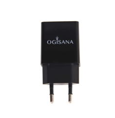 Сетевое зарядное устройство TY-C004-2 No Brand