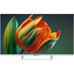 Телевизор Topdevice TDTV40CS04F_WE, 40"(102 см), FHD