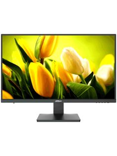 24" Монитор Dahua DHI-LM24-L200