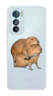 Чехол на Motorola Edge 30 "Капибара с ножом" Case Place