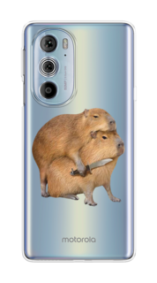 Чехол на Motorola Edge 30 Pro "Капибара с ножом" Case Place
