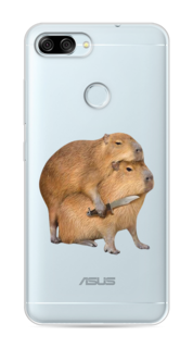 Чехол на ASUS ZenFone Max Plus M1 ZB570TL "Капибара с ножом" Case Place