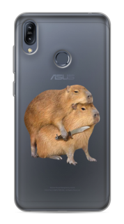Чехол на Asus Zenfone Max M2 ZB633KL "Капибара с ножом" Case Place