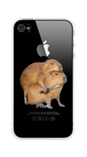 Чехол на Apple iPhone 4/4S "Капибара с ножом" Case Place