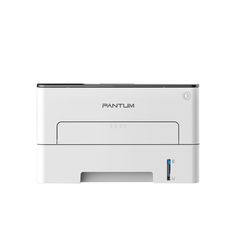 Лазерный принтер PANTUM P3010D (1211356)