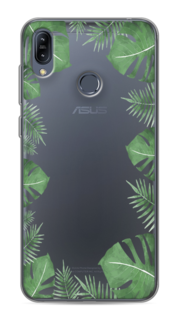 Чехол Awog на Asus Zenfone Max M2 ZB633KL "Листья папоротника рамка"