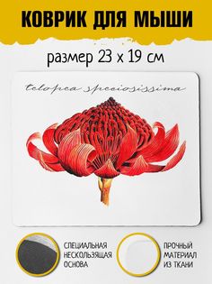 Коврик для мыши Фулпринт Телопея No Brand
