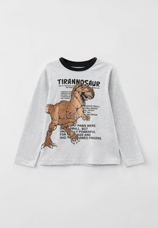 Лонгслив Funday