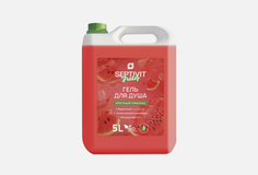 Гель для душа Septivit