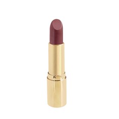 Губная помада in gold 4,2 г тон 24 Latuage Cosmetic