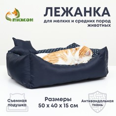 Лежанка со звездочками , 50 х 40 х 15 см, подушка из бязи, флиса, No Brand