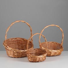 Набор корзин, 27x23x7/13x30, 23x19x6/11x25, 17x12x7/9x21 см, ива, медовый No Brand