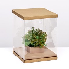 Коробка для цветов с вазой и pvc окнами, складная, 23 х 30 х 23 см, крафт Upak Land