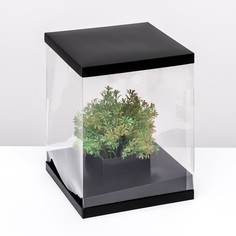 Коробка для цветов с вазой и pvc окнами, складная, 23 х 30 х 23 см, черный Upak Land