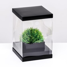 Коробка для цветов с вазой и pvc окнами, складная, 16 х 23 х 16 см, черный Upak Land