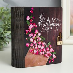 Шкатулка-книга No Brand