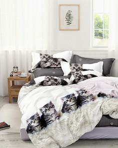 Постельное белье 2-х сп с евро прост. Viola’